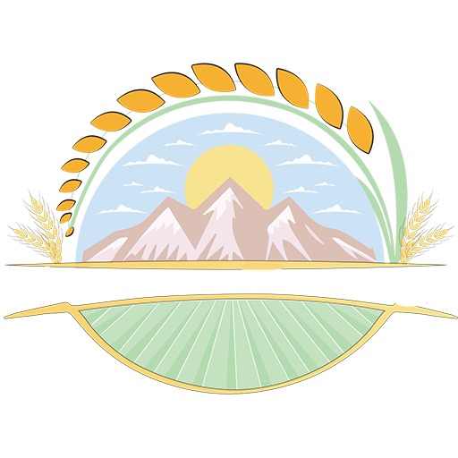 nomadsbounty.com